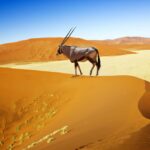¿Cuáles son los destinos más económicos para viajar en grupo? »