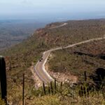 Los cinco modelos más vendidos en Estados Unidos durante este año »